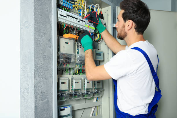 Best Electric Panel Repair  in Willard, UT